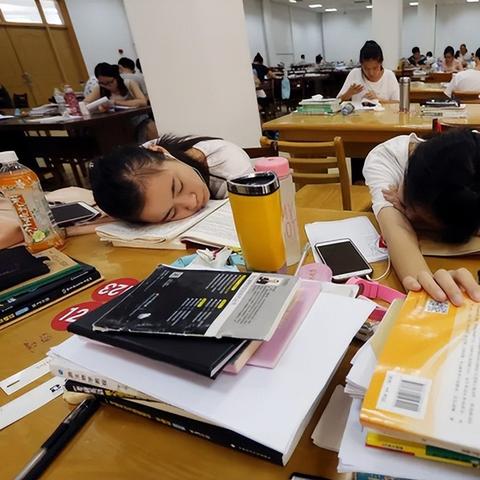 【天津师范大学四六级】相关长尾关键词有哪些