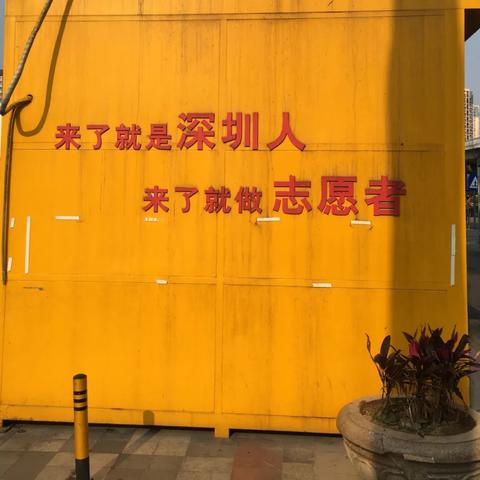 深圳市横岗归哪个区管