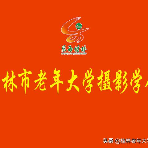 桂林市哪里有二手相机卖