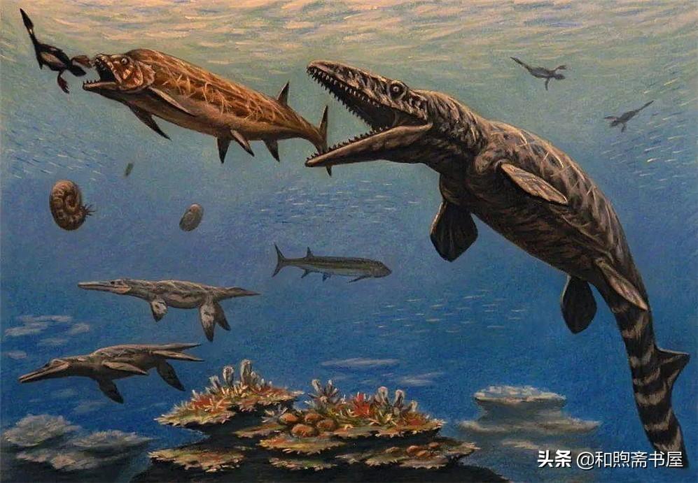 梦见自己在水面上跑
