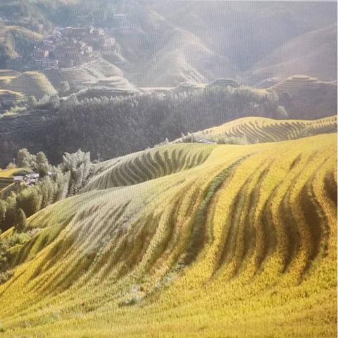 桂林市十一中是什么