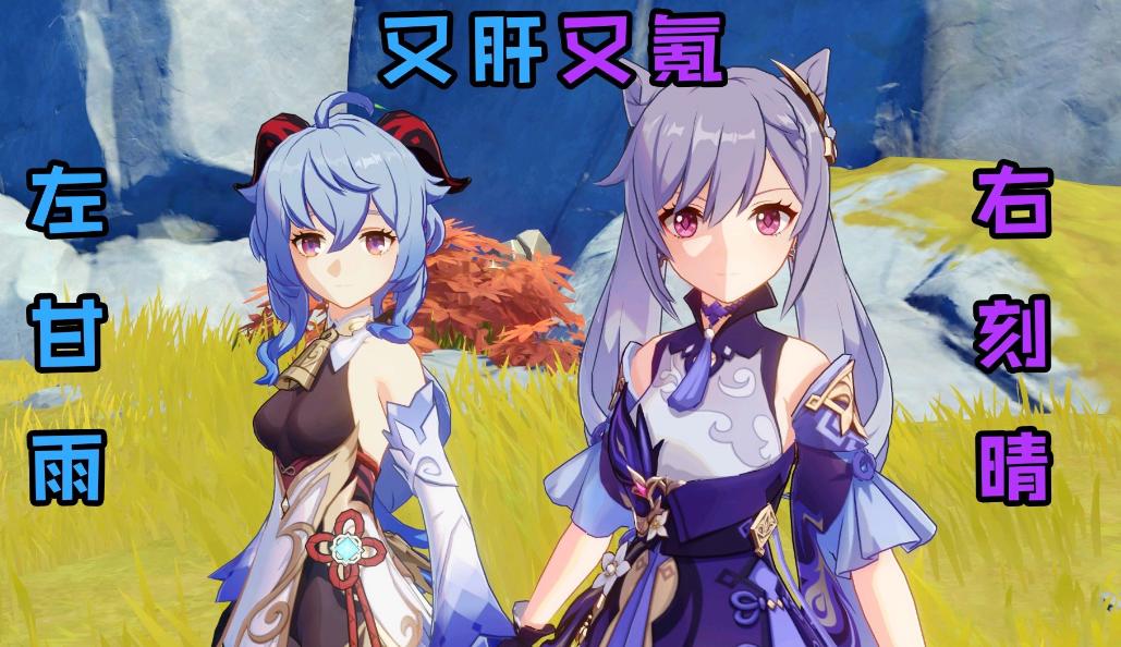 怎么查找原神pc拍的照片(原神桌宠电脑版怎么弄)