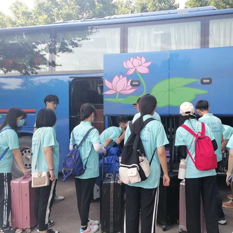 济南市场金蝉多少钱一斤