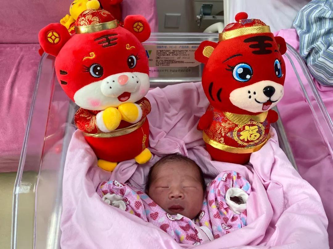 女宝宝起名虎小名怎么取(童年的时候有几个干过偷鸡摸狗的事情)