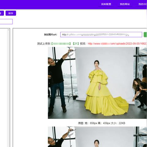 SEO导航怎么去水印