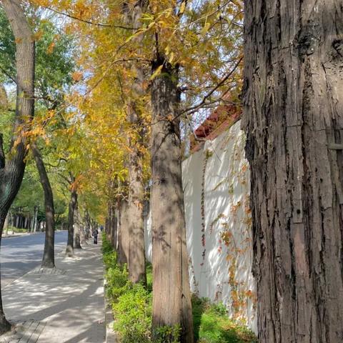 大连市复兴岛是哪个区