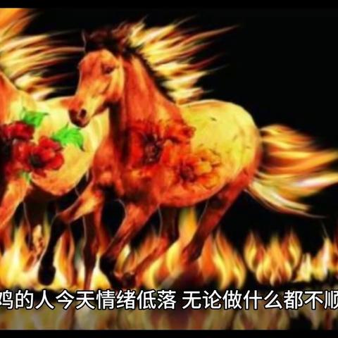 今年4月28日生肖运势(4月28日特吉生肖)