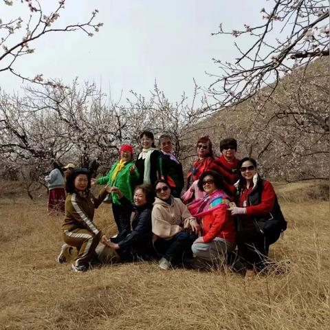 保定市哪里野餐好吃又便宜