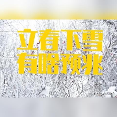 立春一般什么天气