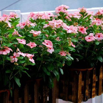 长春市剪头发哪里好男生