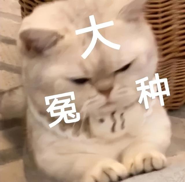 买房你都遇到过哪些坑