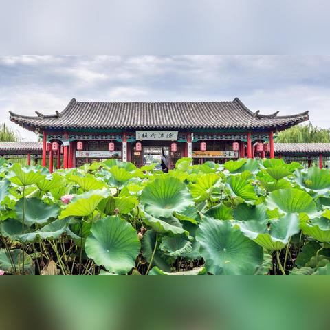 济南市的名胜景区有哪些