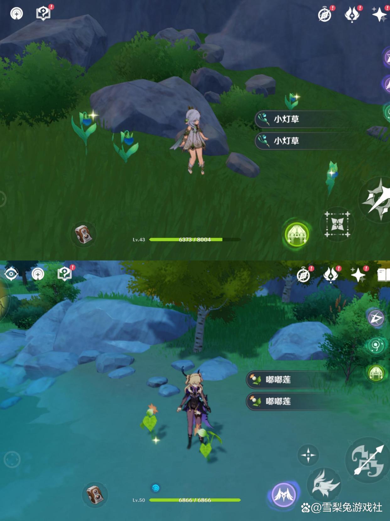 原神的蒲公英籽怎么收集呢（蒙德城外的蒲公英不刷新了怎么办）