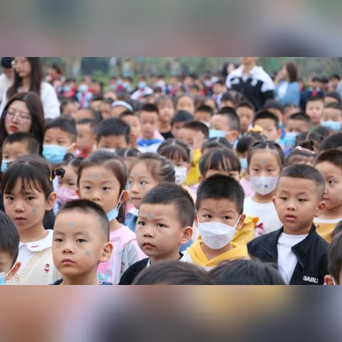 成都市十强小学有哪些学校