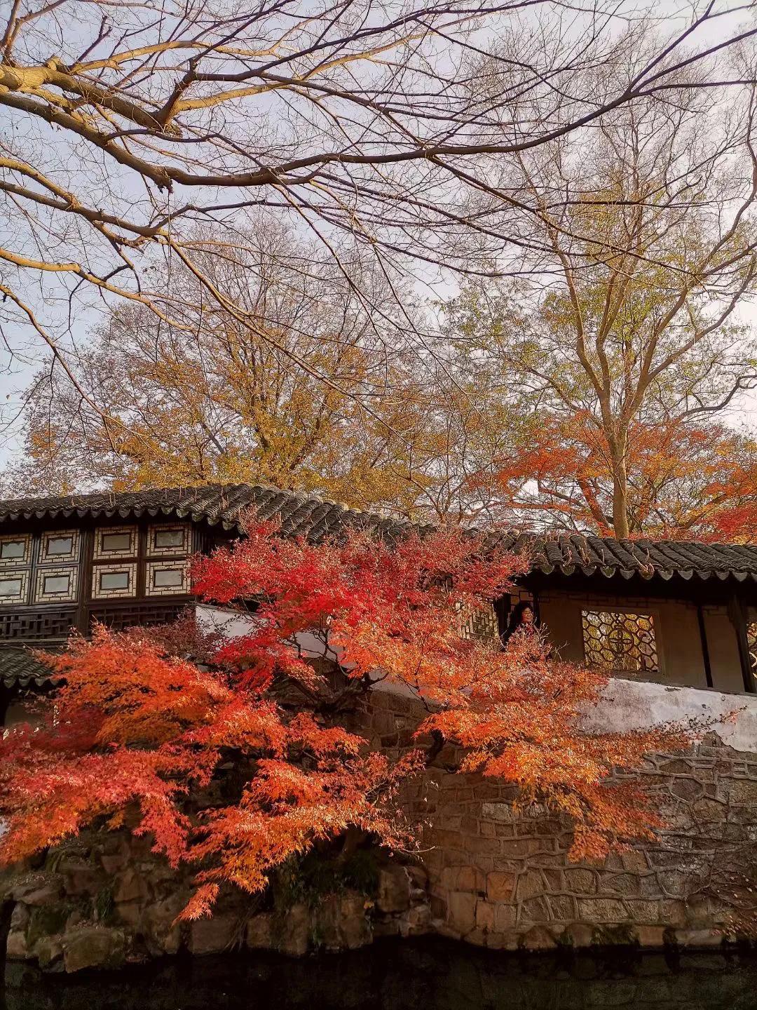 【苏州疫情地图
 ,苏州疫情地图实时更新】