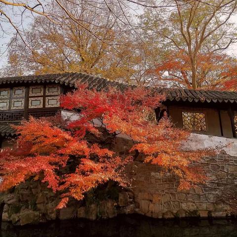 苏州市疫情现况怎么样呀