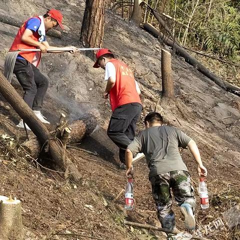 重庆哪个小清吧氛围好