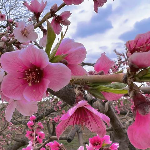 兰州绿荫补习的相关长尾关键词有哪些