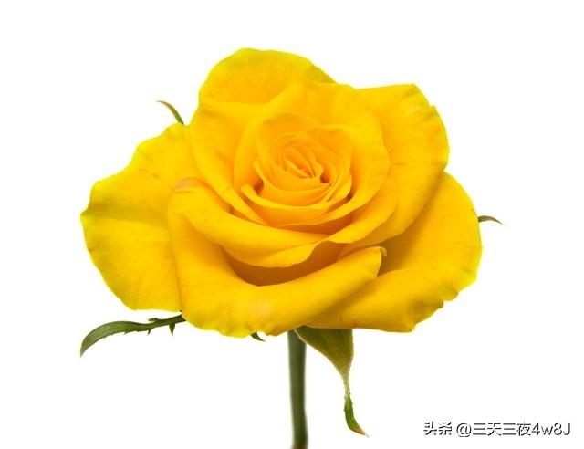 金牛宝宝起名大富大贵,一个红包一句简短句子