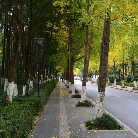 成都市骑行群有哪些地方
