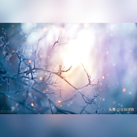 78月份吉林气温走势的长尾关键词有哪些