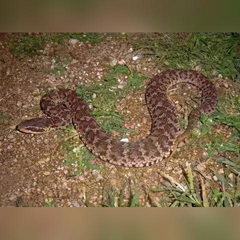 河南女子职业怎么样