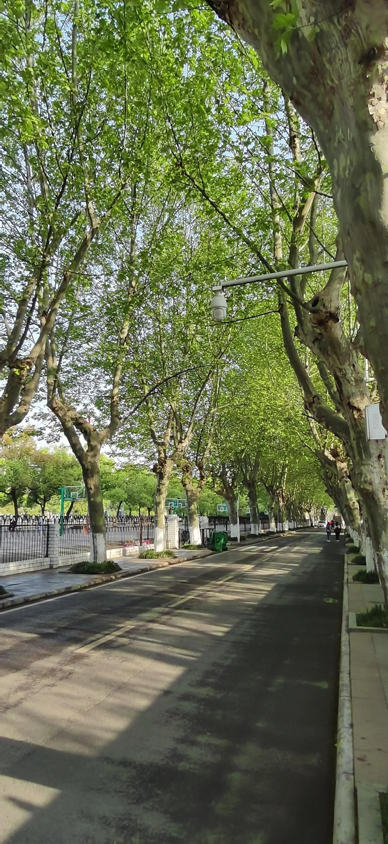 有关武汉理工大学的图片, 第2张图片