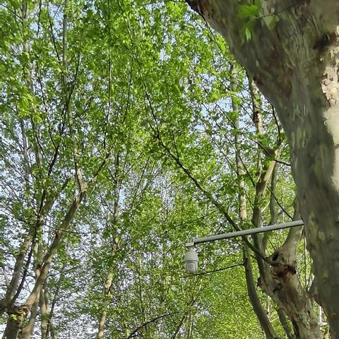 武汉市什么大学最好考