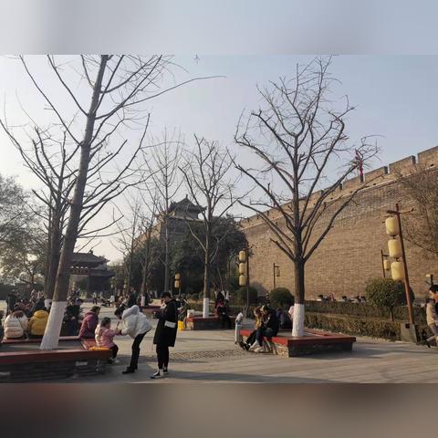 西安简化退休办理流程？