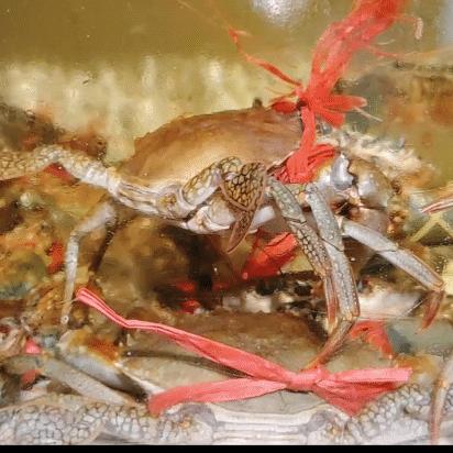 福建海鲜小吃的相关长尾关键词有哪些