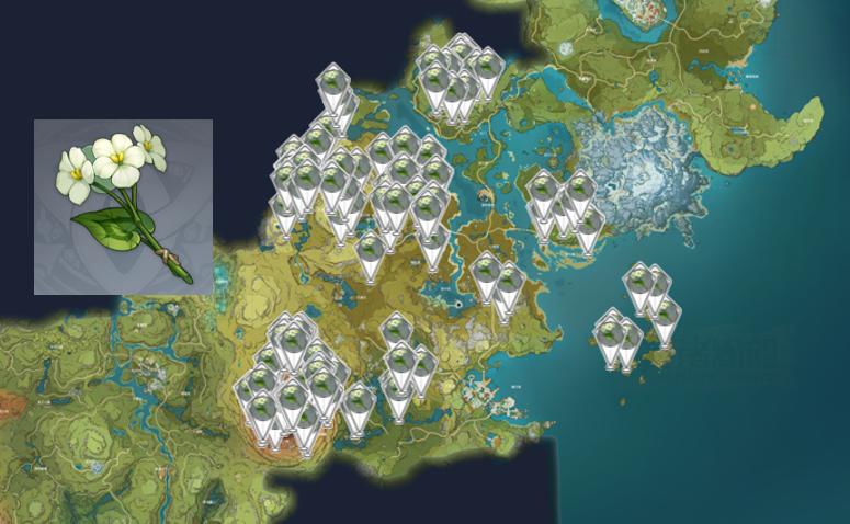 怎么才能最快升级原神（原神40级后快速升级）