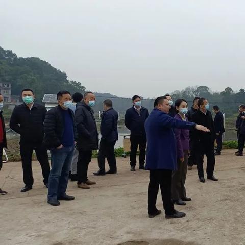 粟是什么农作物