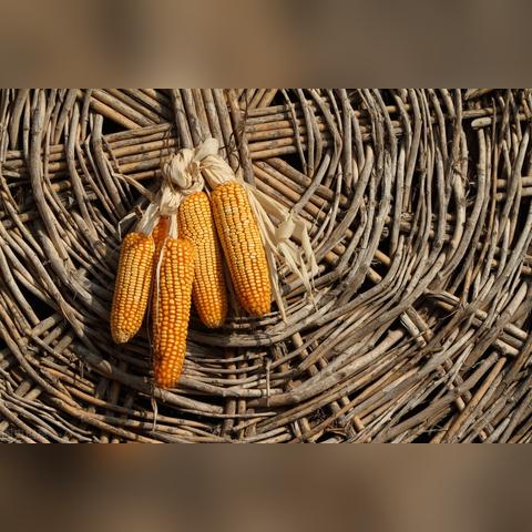 南通市至锦州市多少距离