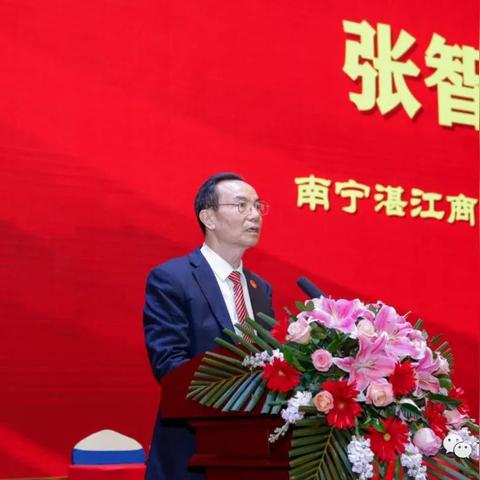 南宁市与湛江市哪个好点