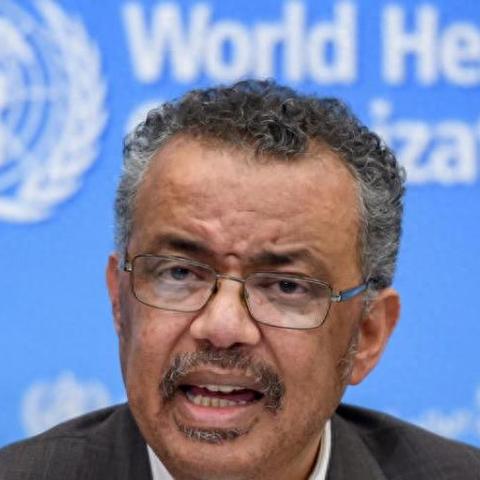 世卫欠武汉的相关长尾关键词有哪些