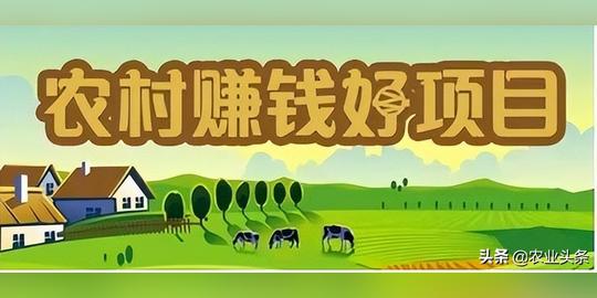 这些农村行业虽然很冷门，但是真的比较赚钱，想找项目的过来看