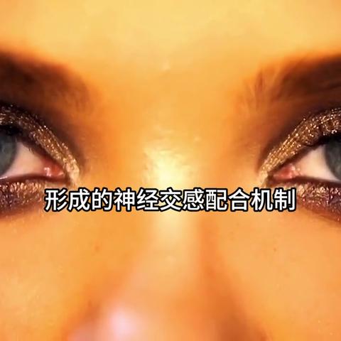 足球运动员视力要多少的长尾关键词有哪些