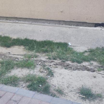 天津地热院怎么样