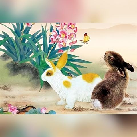 八字生肖兔今日运势查询(生肖兔今日运势非常运势网)