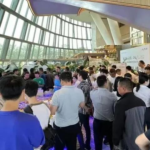 长沙市区叠墅哪个好一些