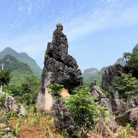 桂林石头贸易公司相关长尾关键词有哪些