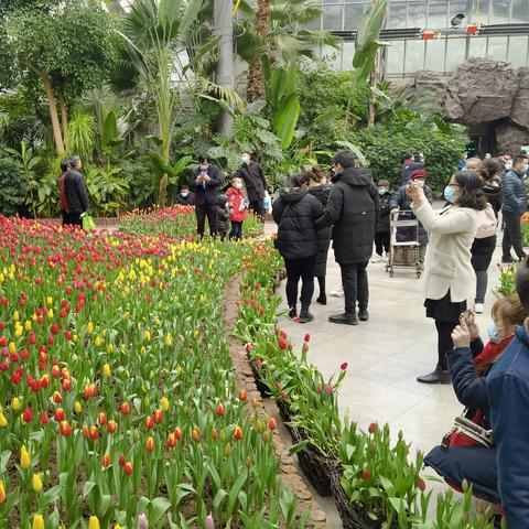 【曹庄花卉天津】长尾关键词有什么