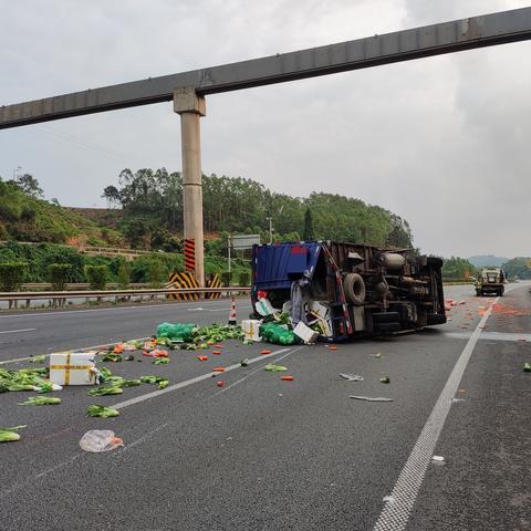 南宁市蔬菜价格怎么查