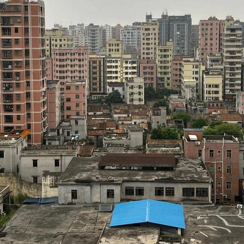 沙井在深圳市算什么地位