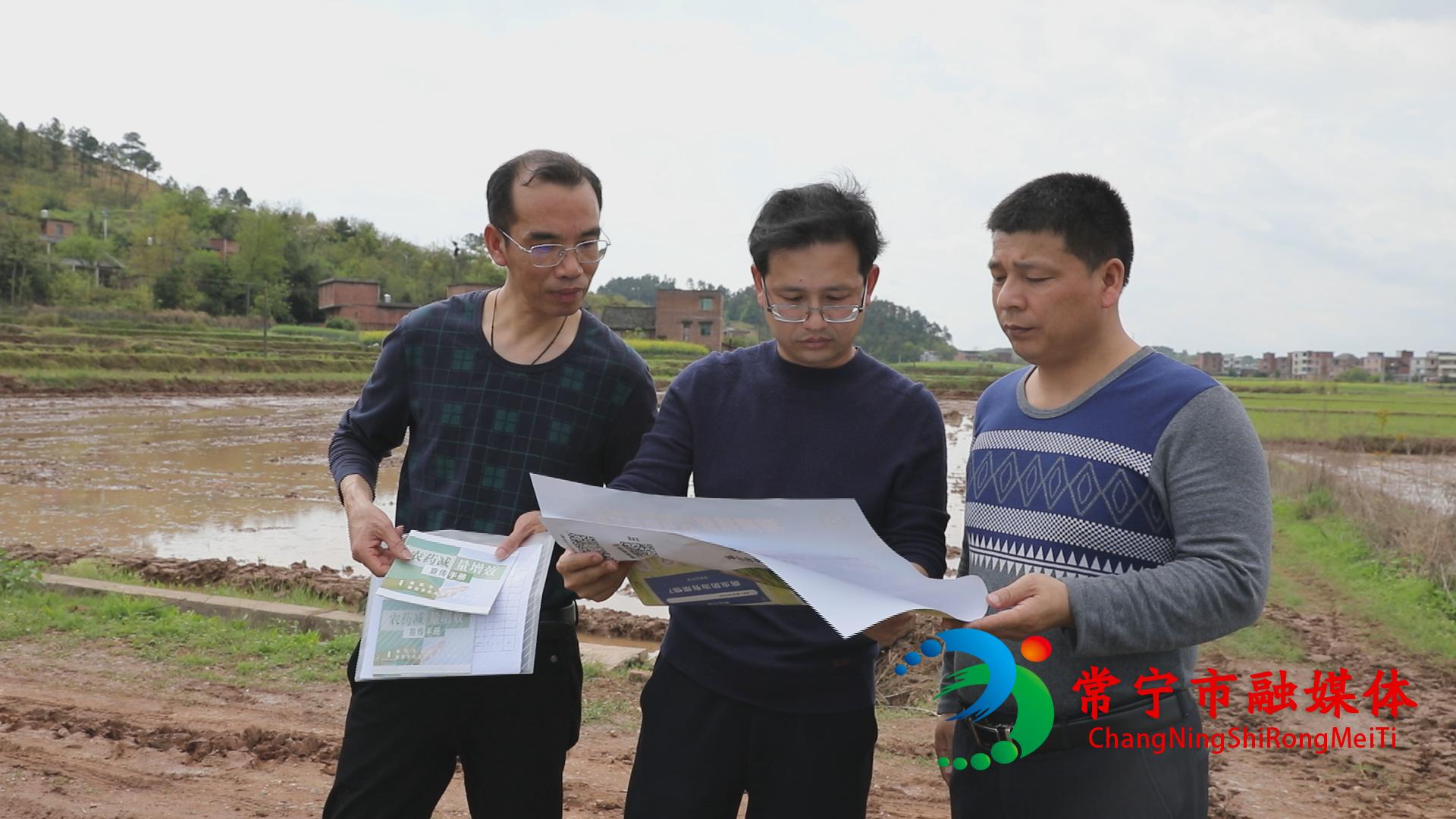 竞聘副站长岗位认知怎么写(除掉张啸林的林怀部)