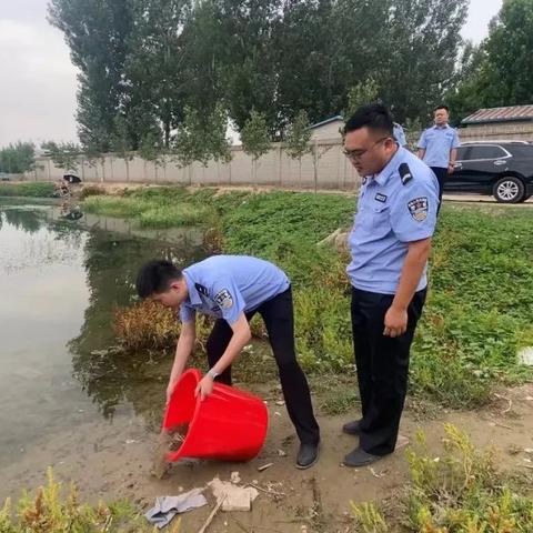 保定市青蛙的长尾关键词有哪些