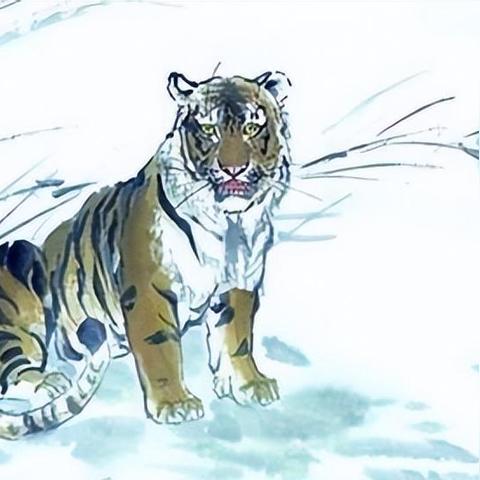 1974生肖属运势(1974属虎一生运势)