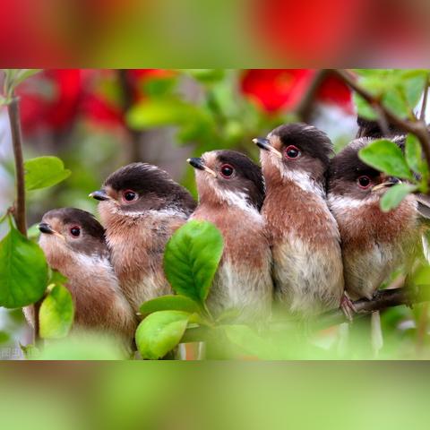 广州图文收费相关长尾关键词有哪些