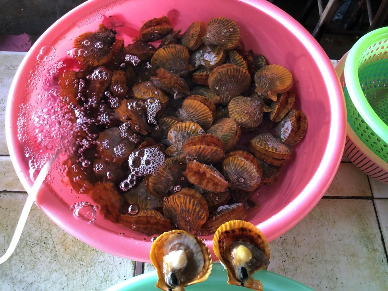 北海周边有什么美食（北海小吃排名前十名）