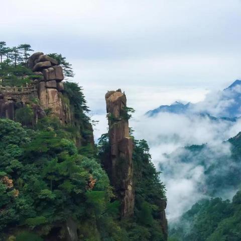 天津泉乐美食园怎么样